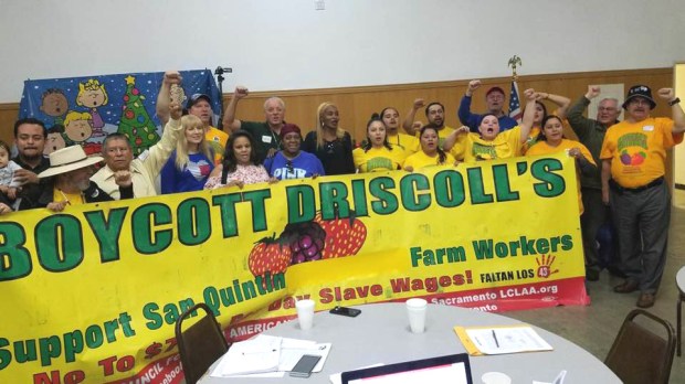 (11) Behind Driscoll's Banner copy